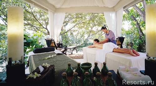 Banyan Tree Deluxe 13